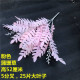 Rose12