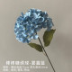 Rose 14