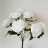Rose 15