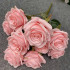 Rose16