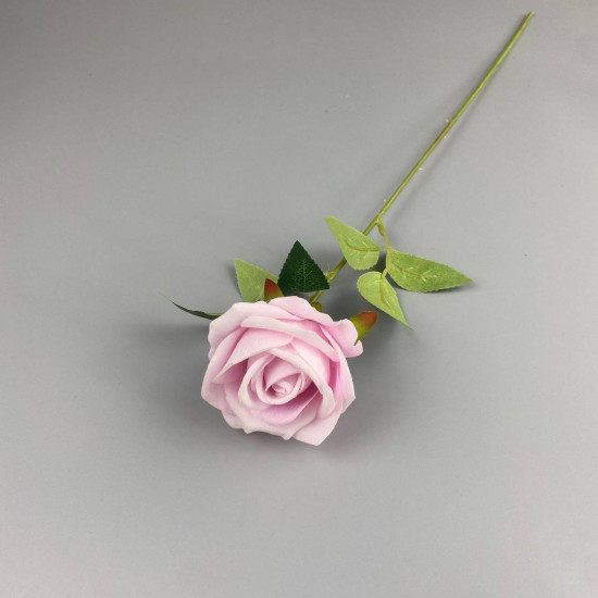 Rose17