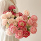 Rose21