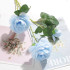 Rose22