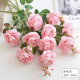 Rose22