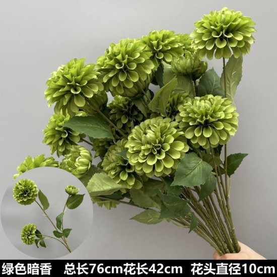 Rose24
