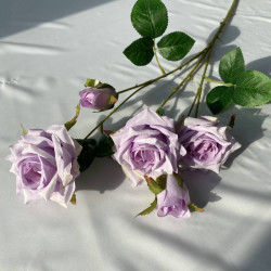 Rose28