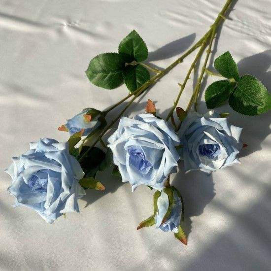 Rose28
