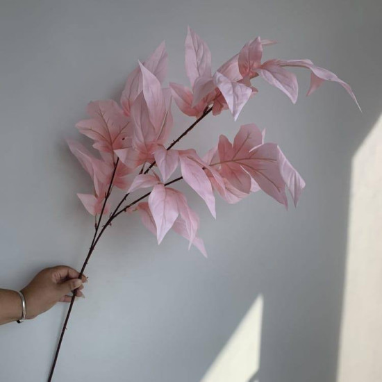 Rose29